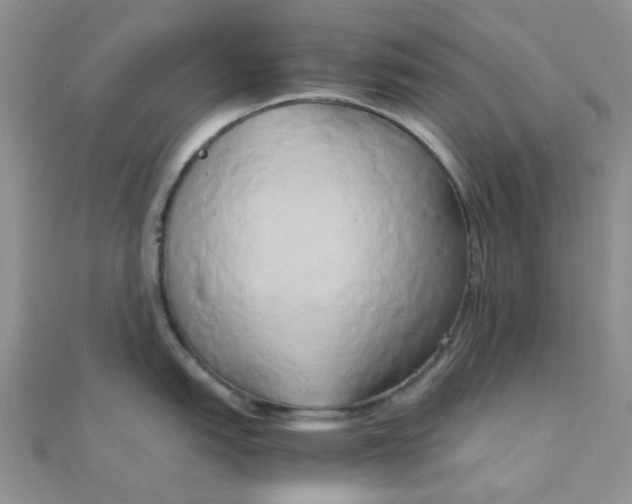 X0000110321151200906042038