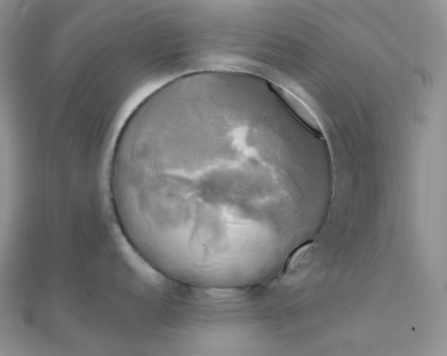 X0000110321152200906042038