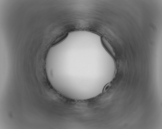 X0000110321153200906042038