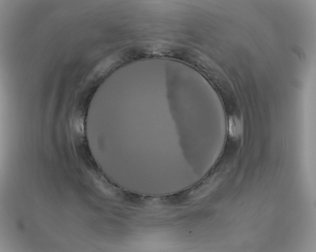 X0000110321155200906042037