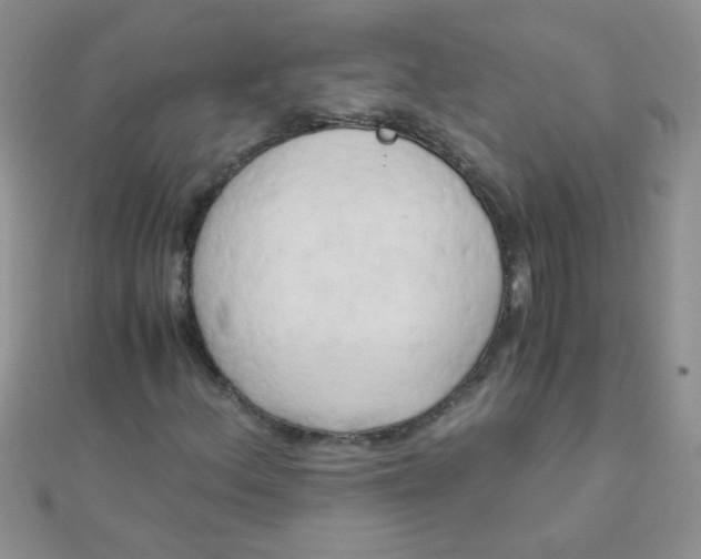 X0000110321156200906042037