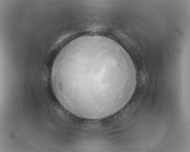 X0000110321158200906042037