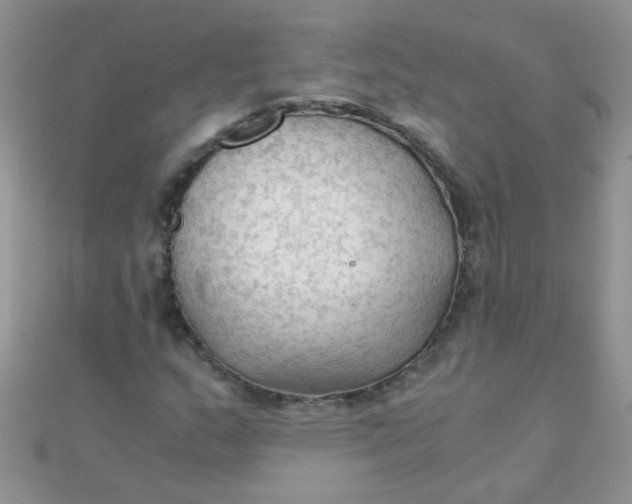 X0000110321159200906042037