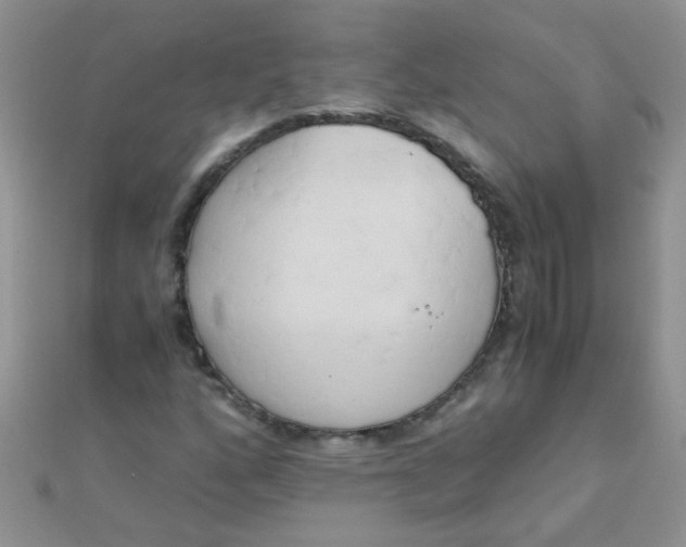 X0000110321160200906042037