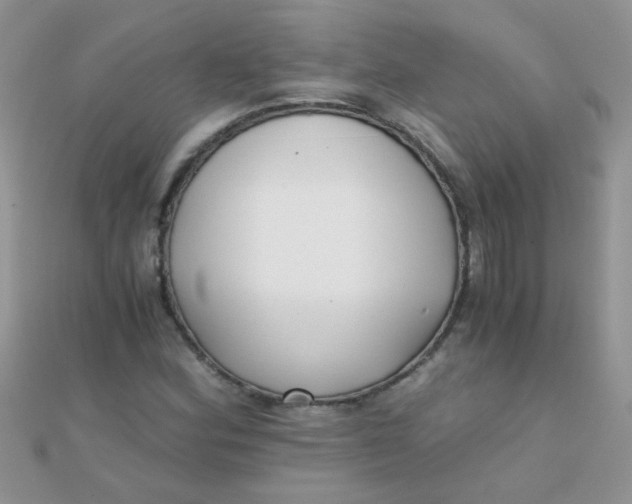 X0000110321164200906042037