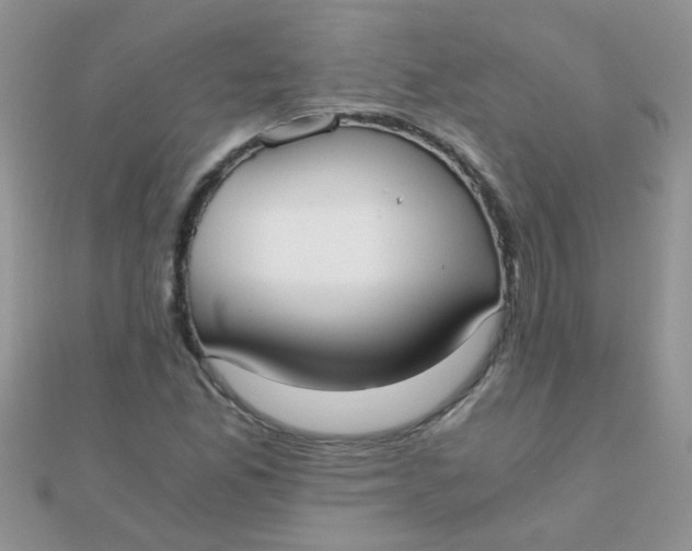 X0000110321165200906042037