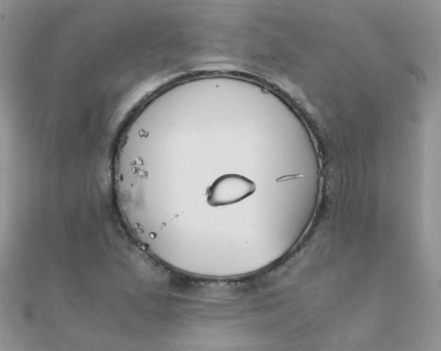 X0000110321167200906042037