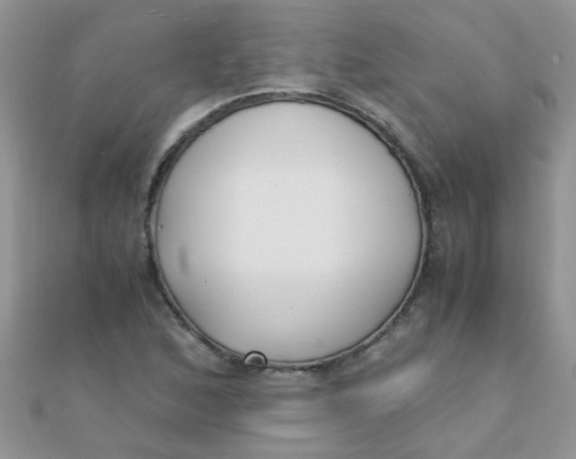 X0000110321168200906042037