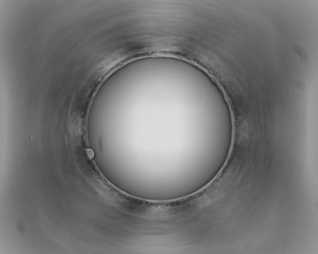 X0000110321169200906042037