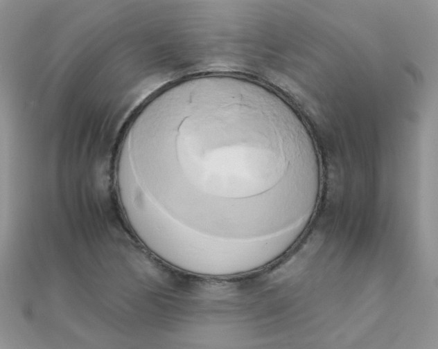 X0000110321170200906042037