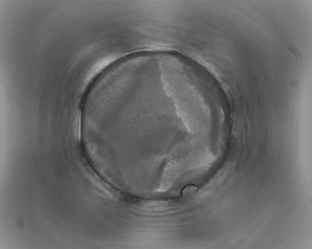 X0000110321171200906042037