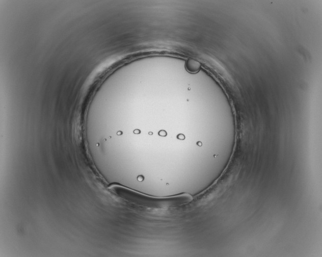 X0000110321172200906042037