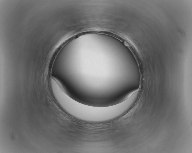 X0000110321173200906042037