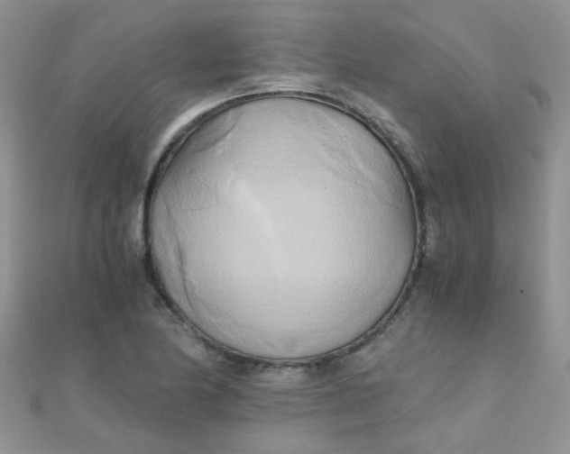 X0000110321174200906042037