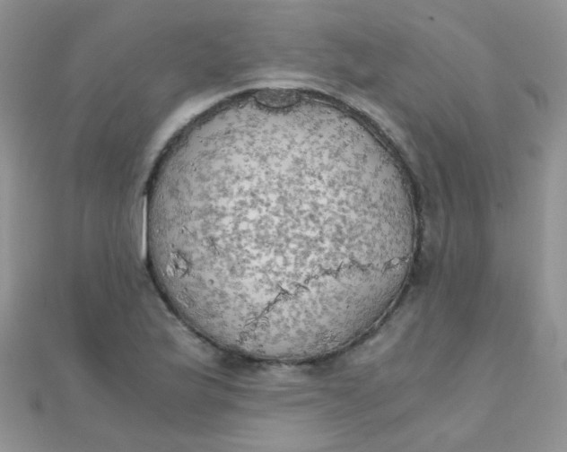 X0000110321175200906042037