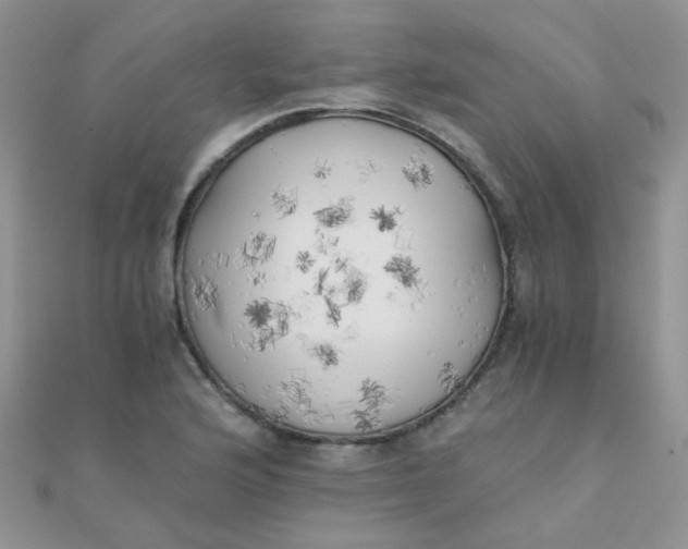 X0000110321176200906042037