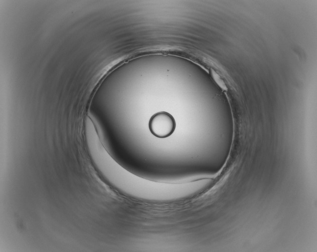 X0000110321177200906042037