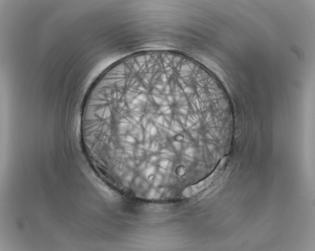 X0000110321179200906042037