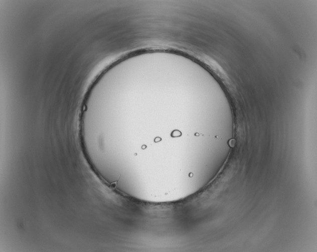 X0000110321183200906042037