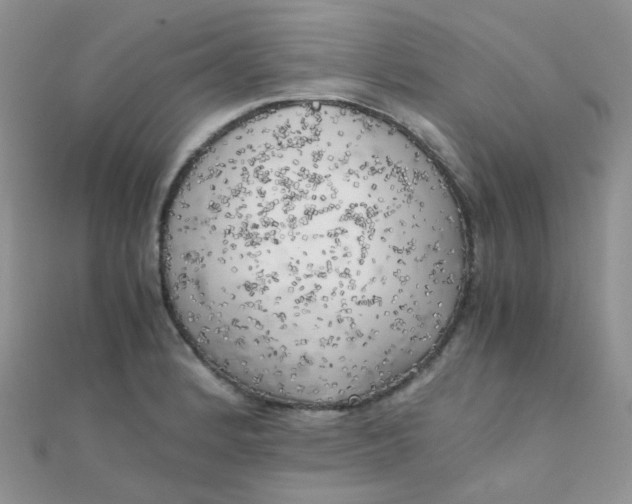 X0000110321184200906042037