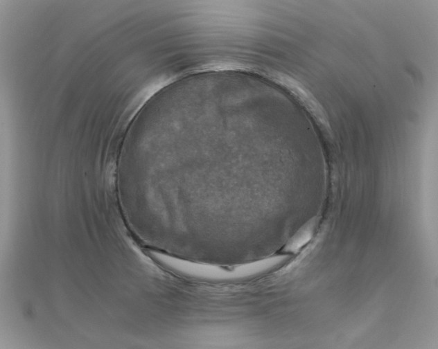 X0000110321185200906042037