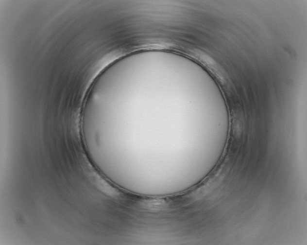 X0000110321186200906042037