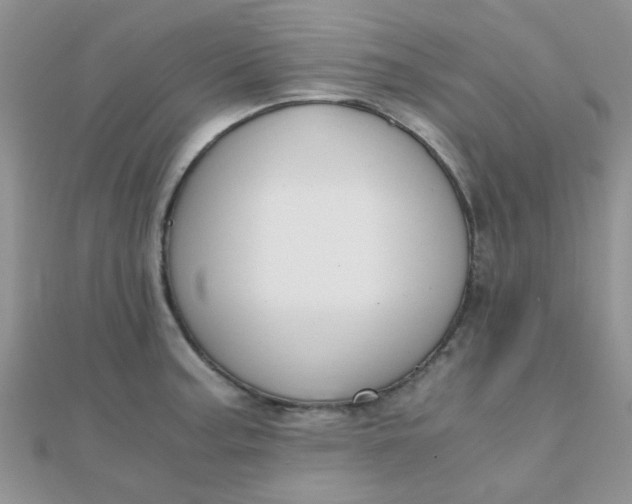 X0000110321187200906042037