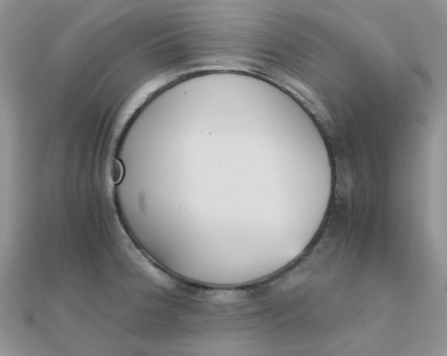 X0000110321188200906042037