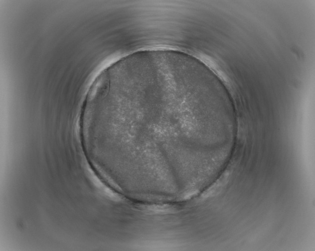 X0000110321189200906042037