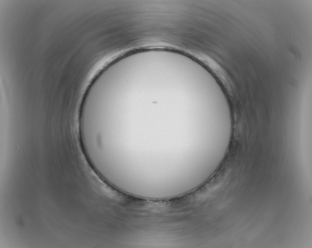 X0000110321191200906042037