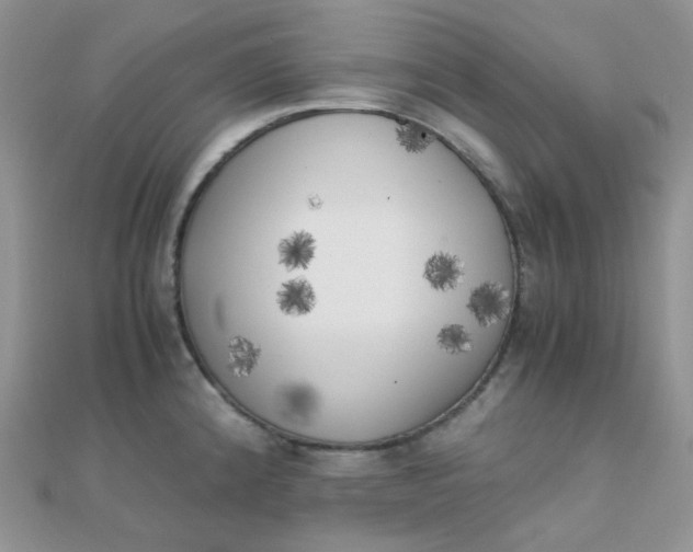 X0000110321192200906042037