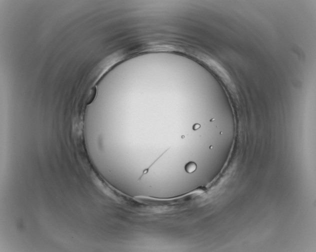 X0000110321193200906042037