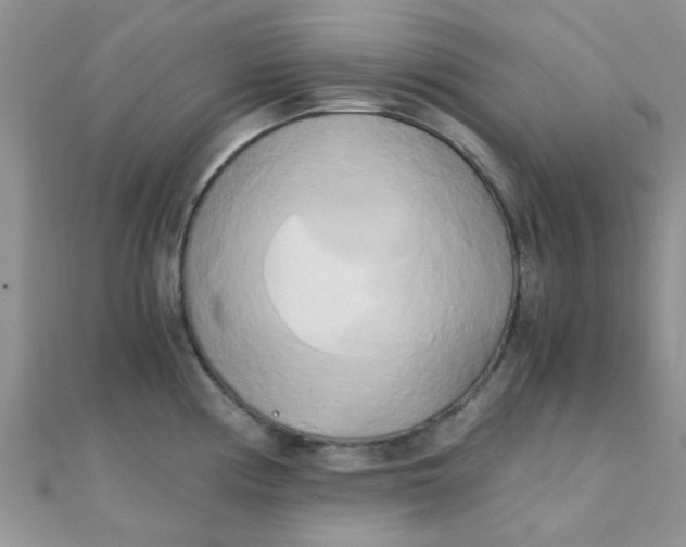 X0000110321194200906042037