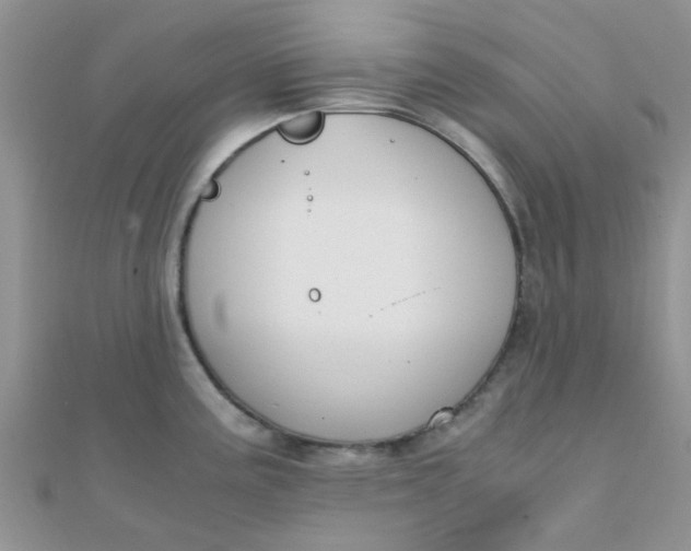 X0000110321195200906042037