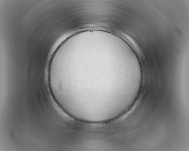 X0000110321196200906042037