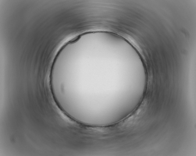 X0000110321197200906042037