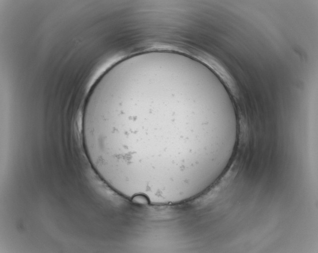 X0000110321198200906042037