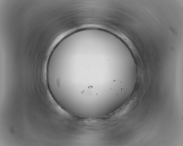 X0000110321199200906042037