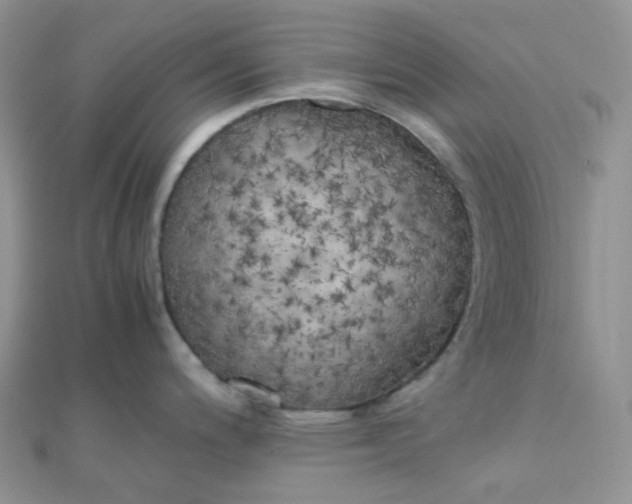 X0000110321200200906042037