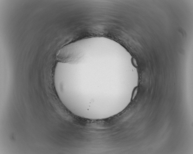 X0000110321201200906042036