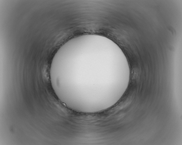 X0000110321202200906042036