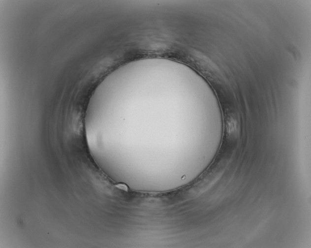 X0000110321204200906042036