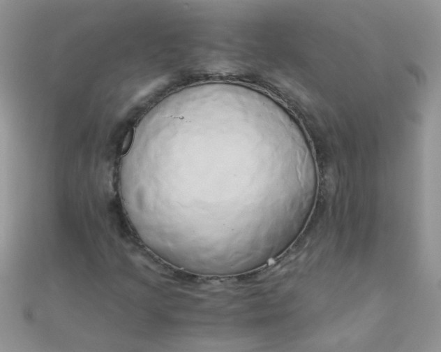 X0000110321205200906042036