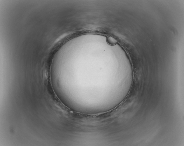 X0000110321206200906042036