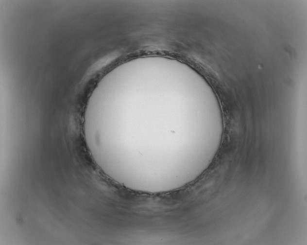 X0000110321207200906042036