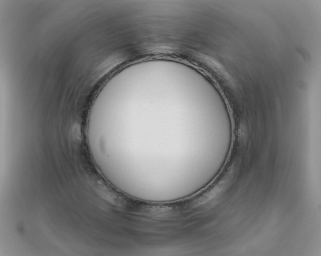 X0000110321209200906042036