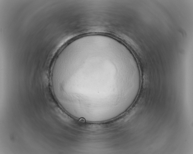 X0000110321212200906042036