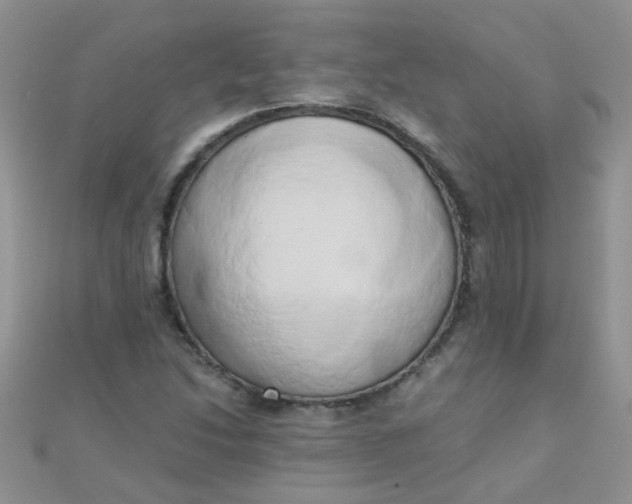 X0000110321214200906042036