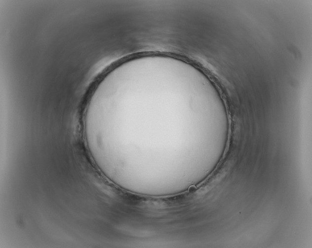 X0000110321215200906042036