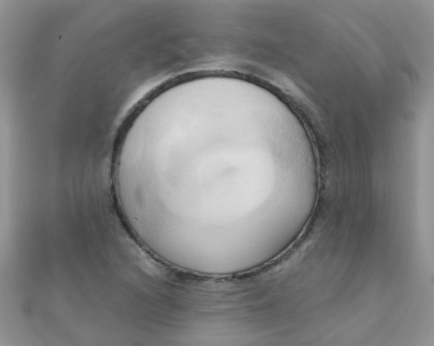 X0000110321216200906042036